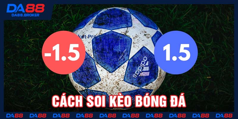 cách soi kèo bóng đá