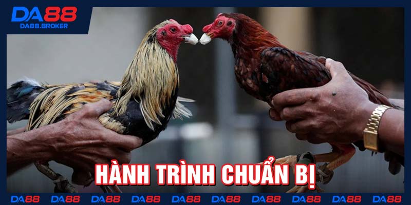 Hành trình chuẩn bị