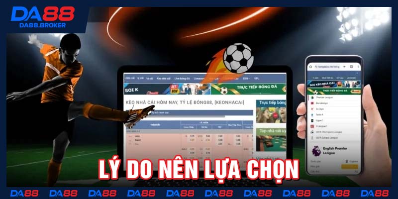 Lý do nên lựa chọn