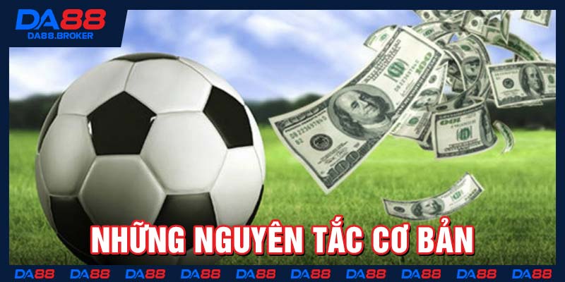 Những nguyên tắc cơ bản