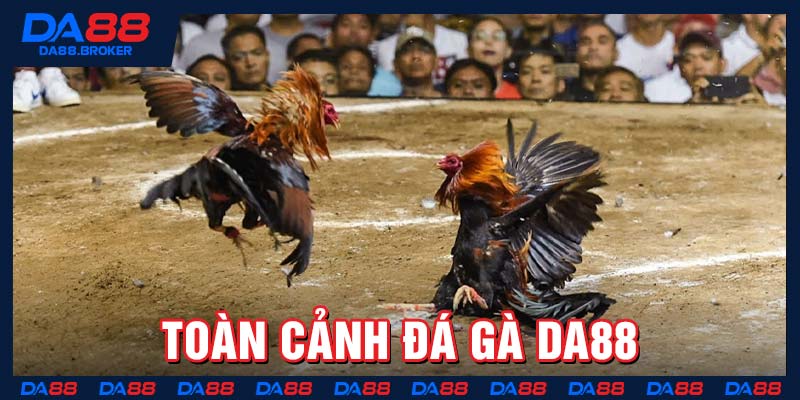 Toàn cảnh đá gà Da88