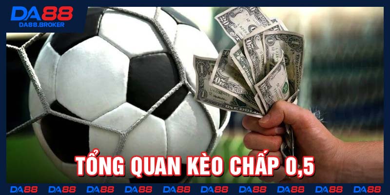 Tổng quan kèo chấp 0,5