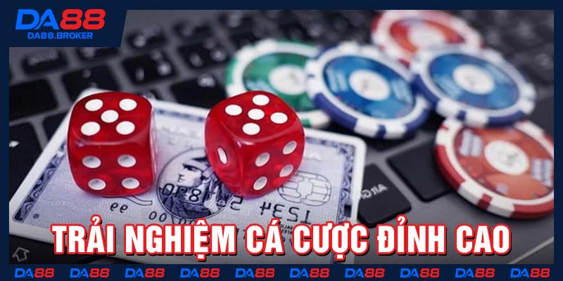 Trải nghiệm cá cược đỉnh cao